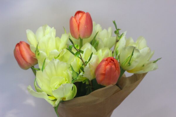BIO Kytice tulipánů Spring Lover - Image 2