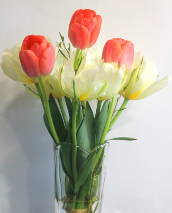 BIO Kytice tulipánů Spring Lover