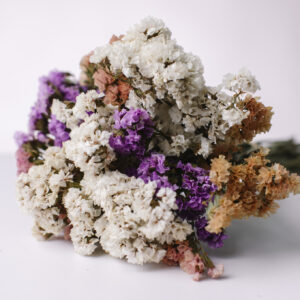 BIO Kytice Statice Pastel Mix