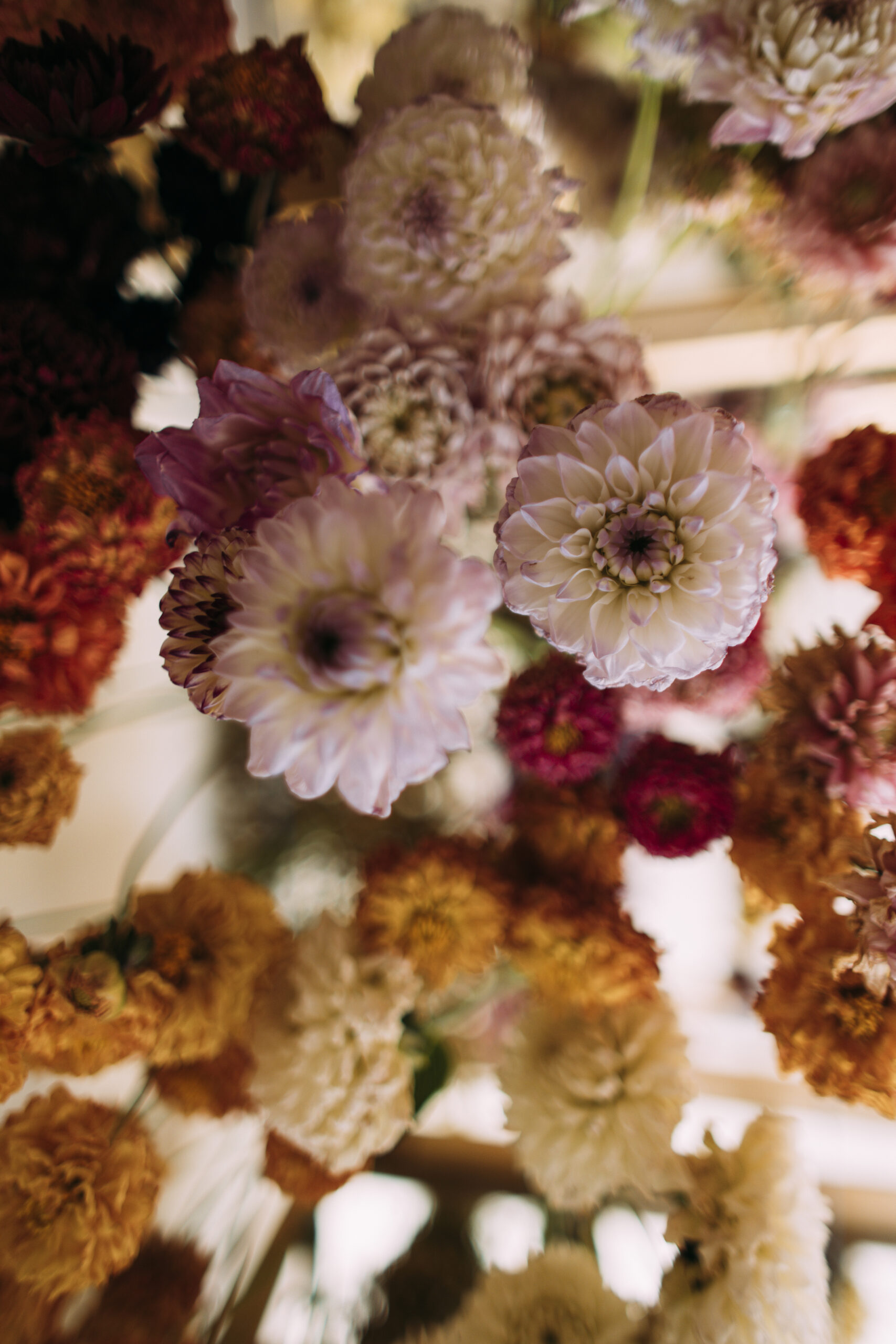 Květinový samosběr - Obrázek 4