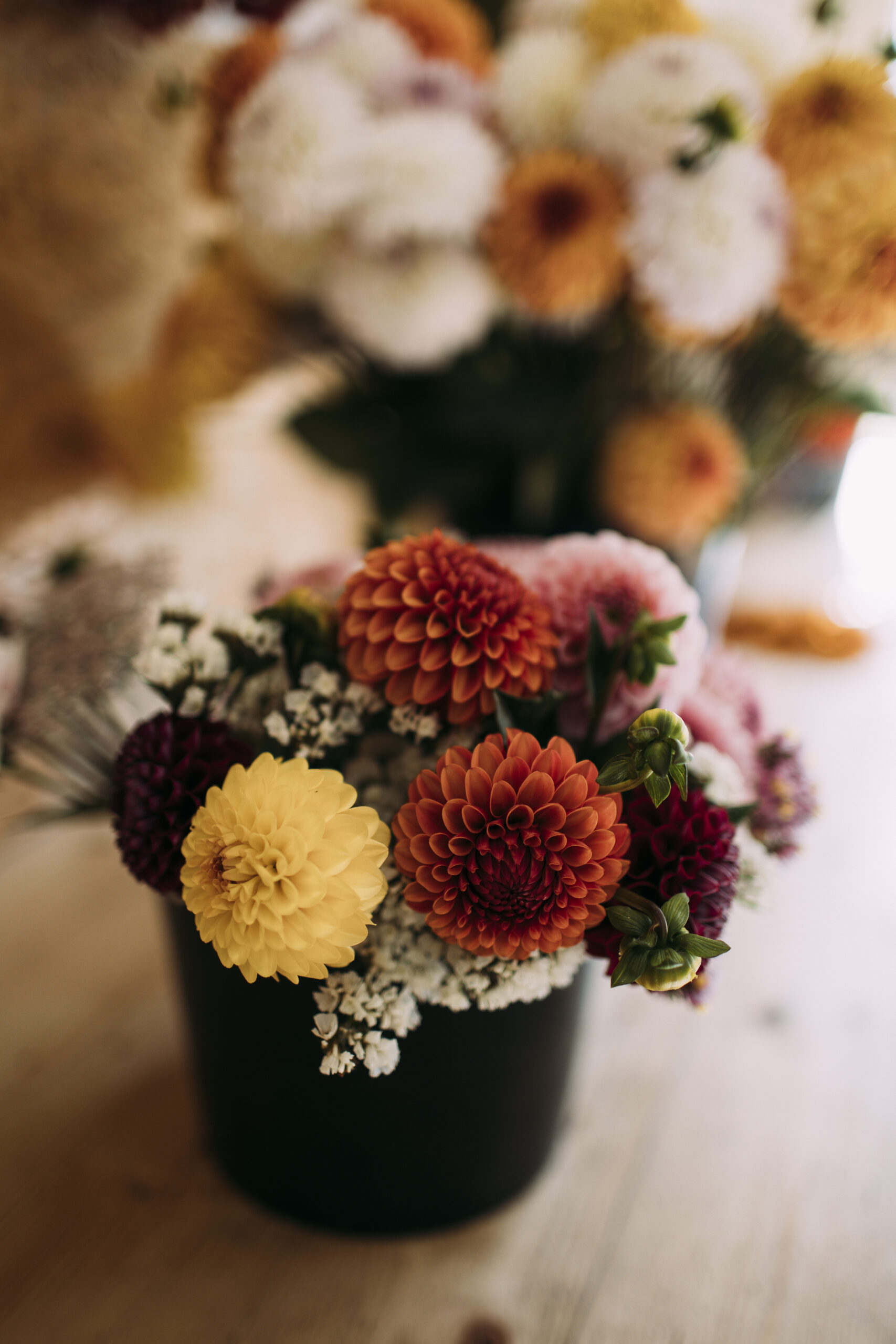 Květinový samosběr - Obrázek 3