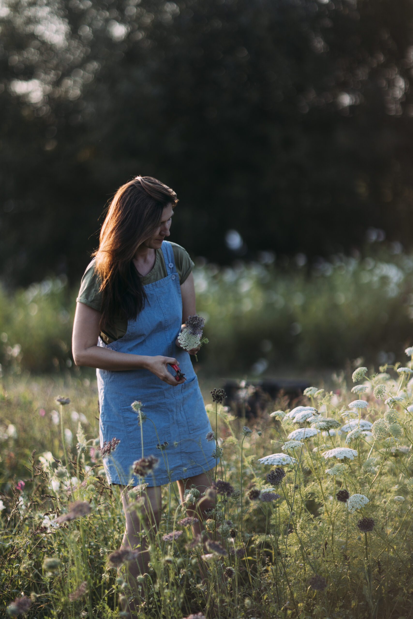 Květinový samosběr - Obrázek 8