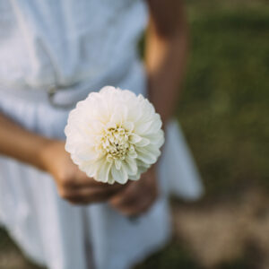 Květinový samosběr