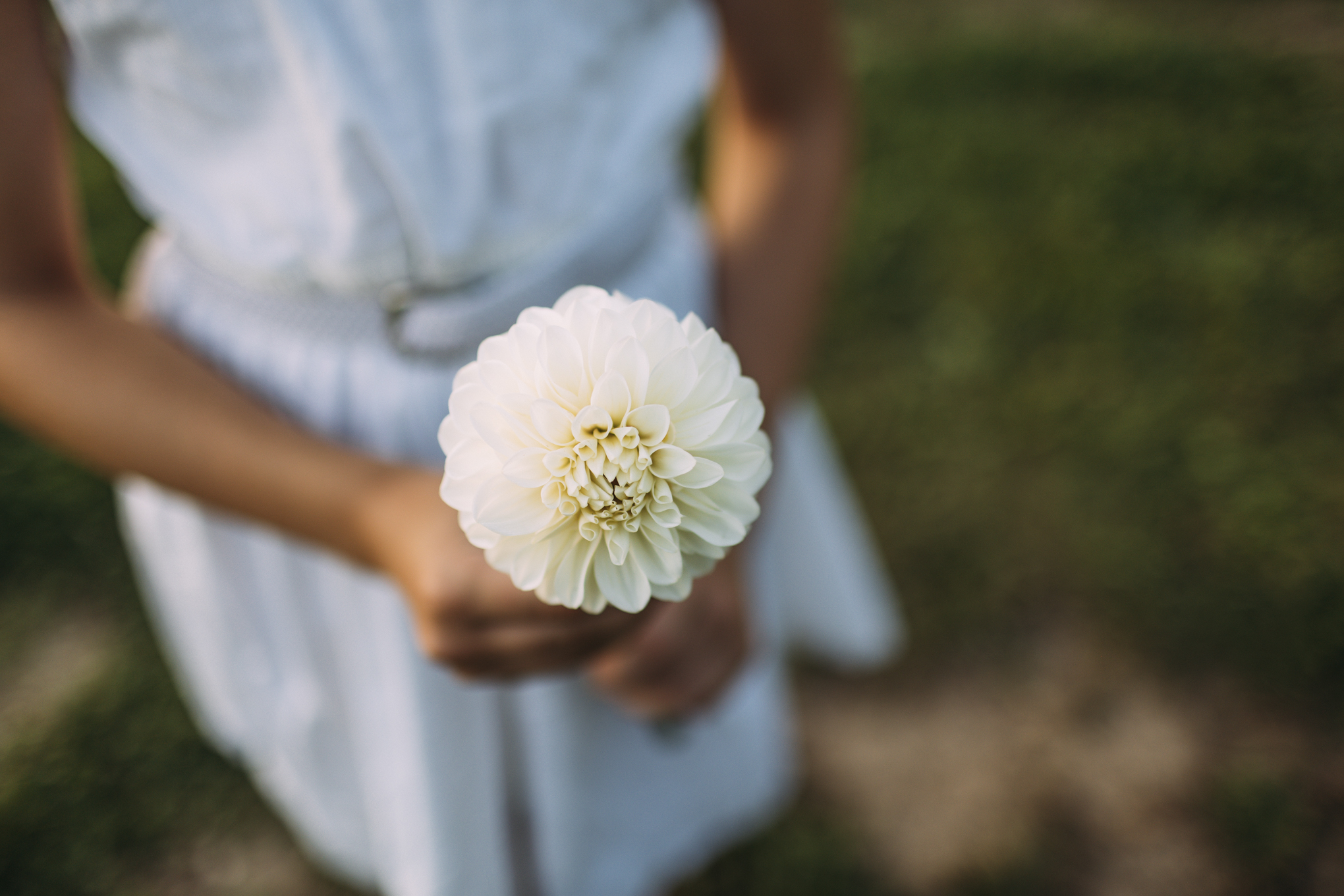Květinový samosběr