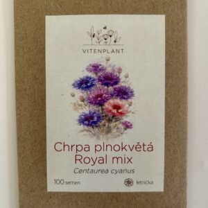 BIO Chrpa plnokvětá Royal mix
