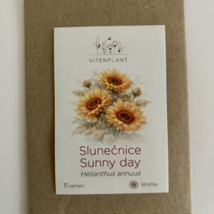 Slunečnice Sunny day