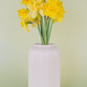 Narcisky Yellow Lover